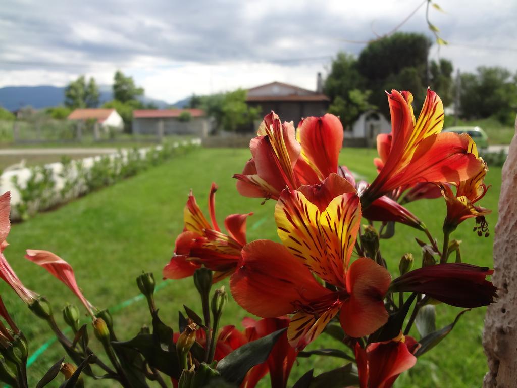 Nostos Apartments Néa Meságkala Dış mekan fotoğraf